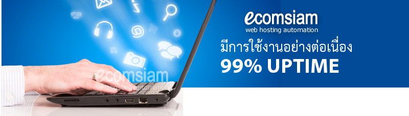 99% uptime-web hosting thailand